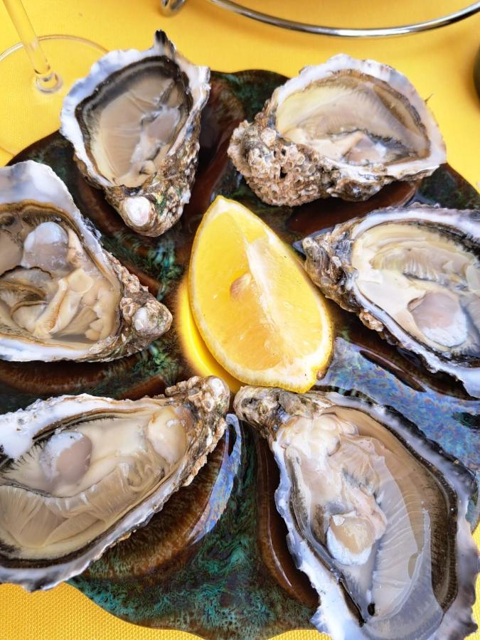 Gite Les Portes D'Oleron ブルスフラン エクステリア 写真